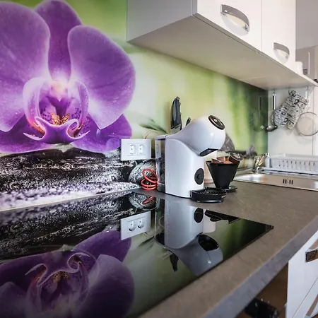 Apartma Lida 2 Apartment Bled