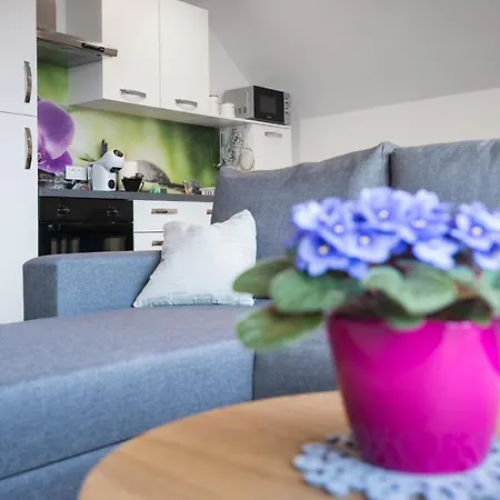 Apartma Lida 2 * بليد