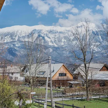 Apartma Lida 2 *