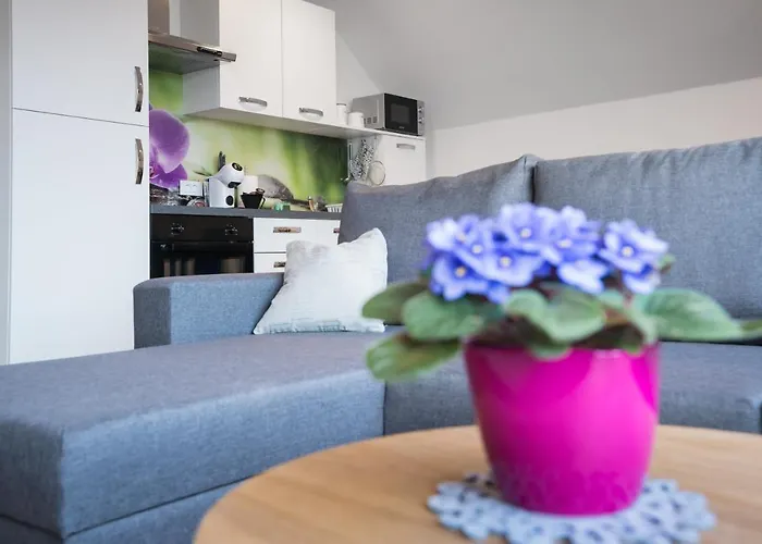 Apartma Lida 2 * Bled